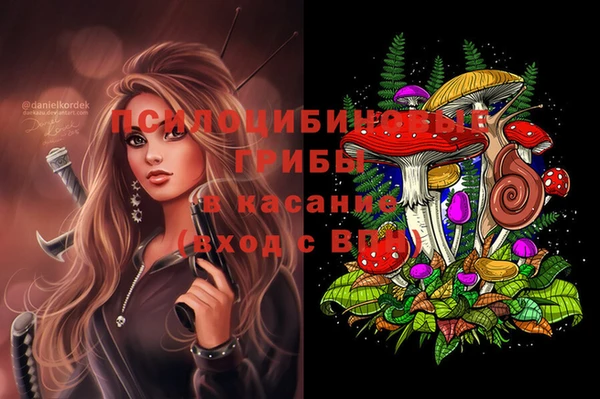 мдпв Гусев
