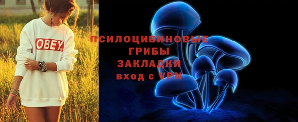 соль курить ск Гусь-Хрустальный