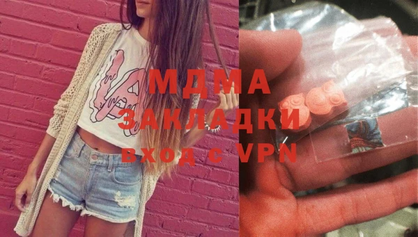 мдпв Гусев