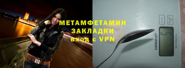 мдпв Гусев