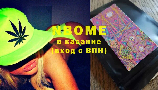мдпв Гусев