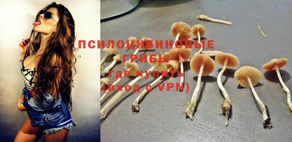 мдпв Гусев
