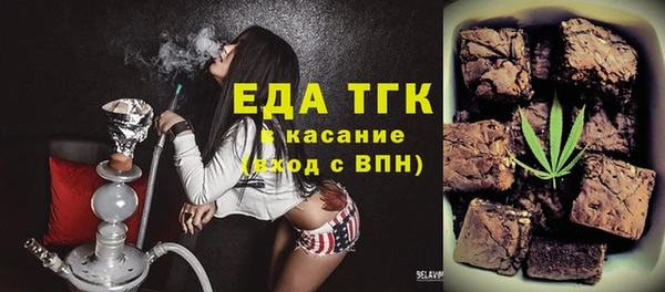 мдпв Гусев