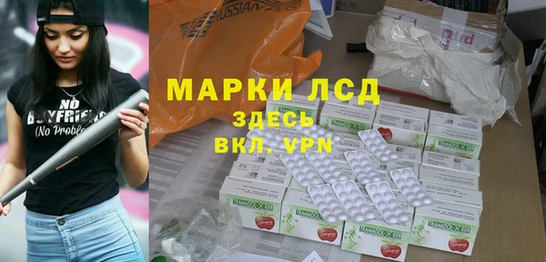мдпв Гусев