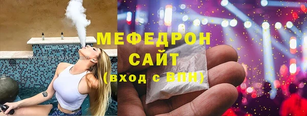 мдпв Гусев