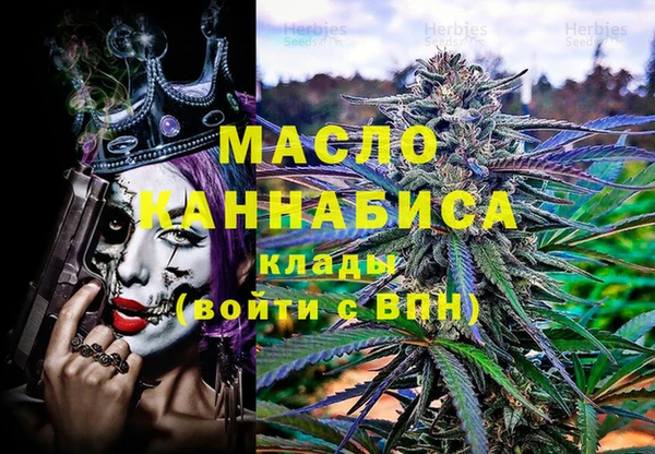мдпв Гусев