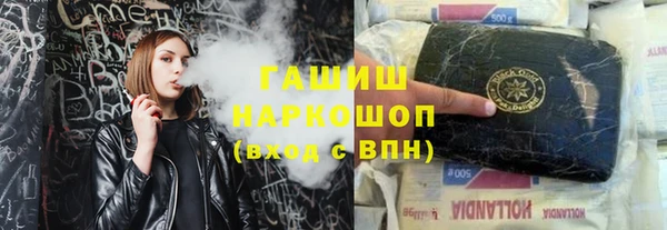 мдпв Гусев