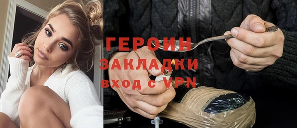 мдпв Гусев