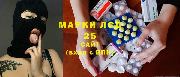 мдпв Гусев
